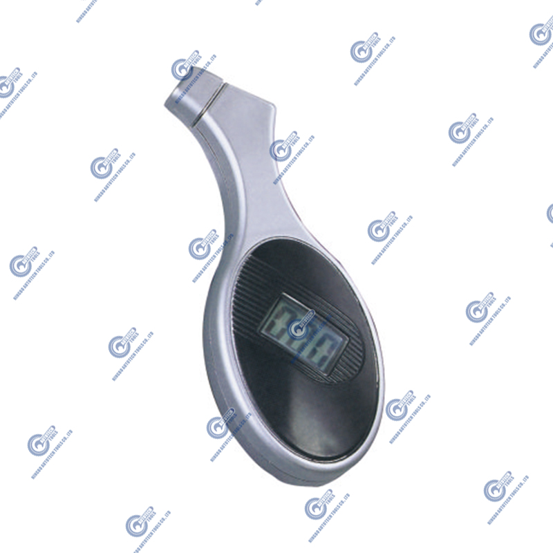 Gauge de pneus numérique DTG-04 (5-100 psi)